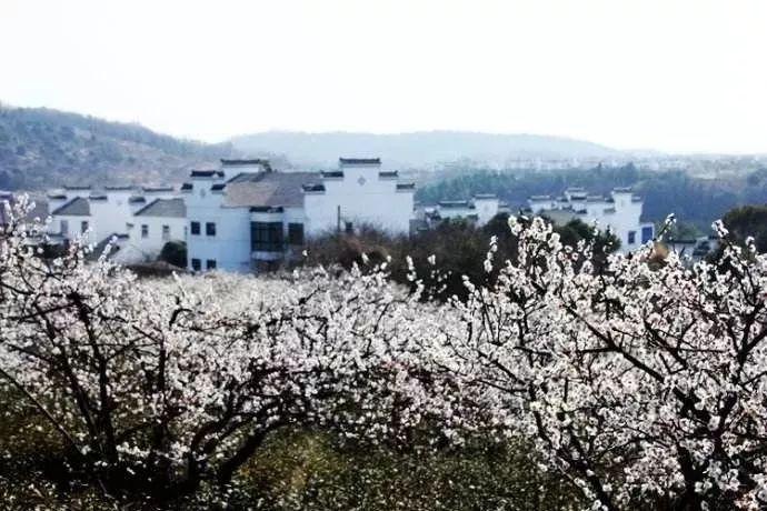 有来|女孩洗澡发现颗粒状“痘痘”，闫会宁医生提醒：是HPV来了
